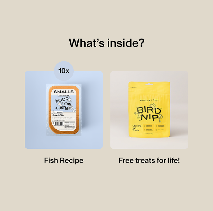 Contents of the Smalls Fish Sampler: ten fish recipe packets and a free bag of Bird Nip crunchy cat treats.