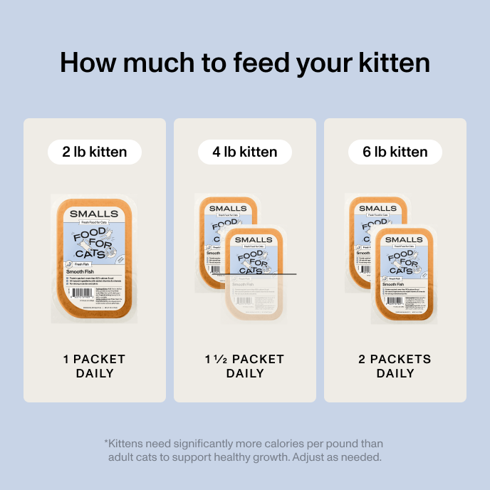 Kitten feeding guide showing that a 2 lb kitten needs 1 packet of Smalls daily, a 4 lb kitten needs 1 and a half packets daily, and a 6 lb kitten needs 2 packets daily. Kittens need significantly more calories per pound than adult cats to support healthy growth.