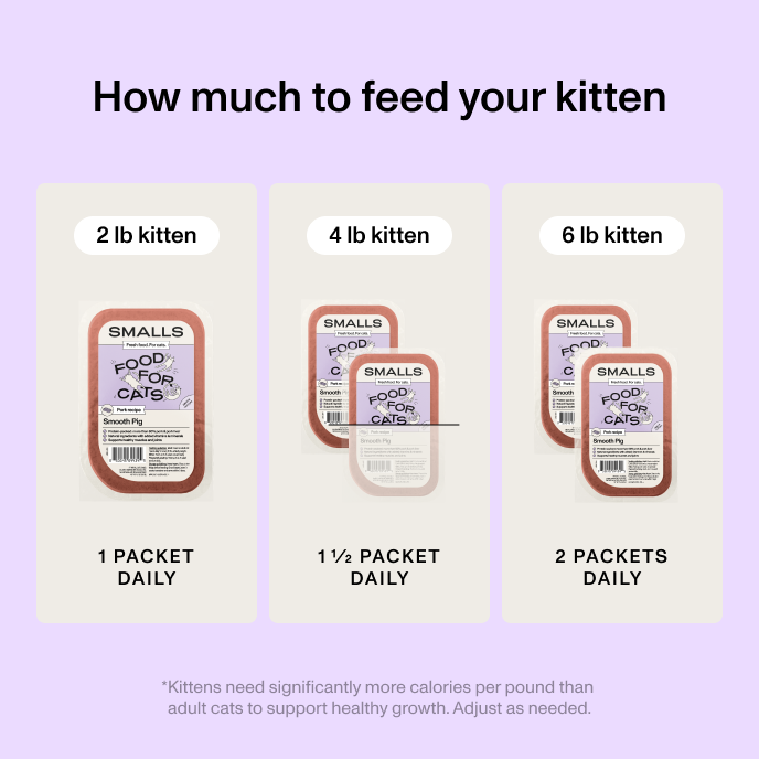 Kitten feeding guide showing that a 2 lb kitten needs 1 packet of Smalls daily, a 4 lb kitten needs 1 and a half packets daily, and a 6 lb kitten needs 2 packets daily. Kittens need significantly more calories per pound than adult cats to support healthy growth.