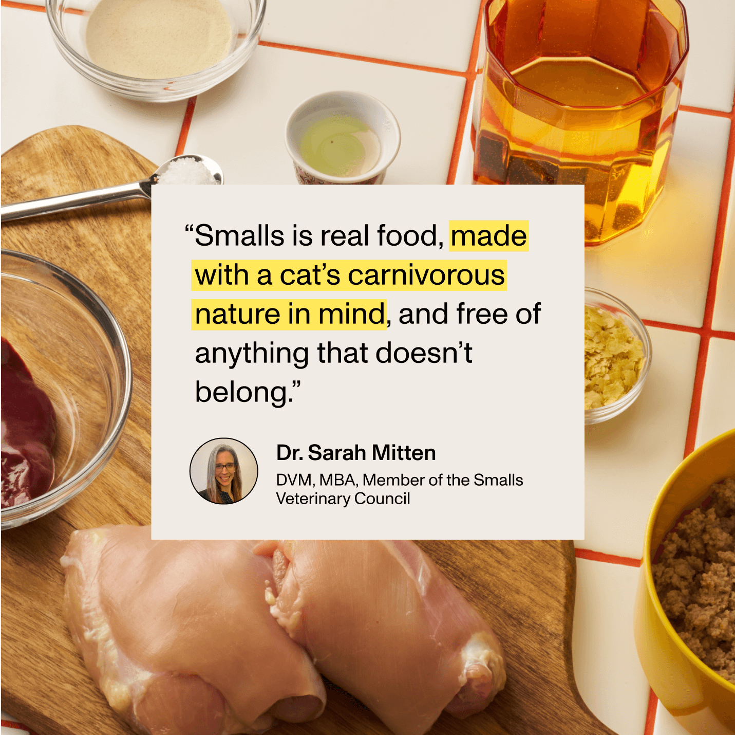 Quote from Dr. Sarah Mitten, a veterinarian and member of the Smalls Veterinary Council,  saying Smalls is real food made for a cat’s carnivorous nature, shown over a background of fresh chicken and ingredients.